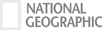 National Geographic Logo 1